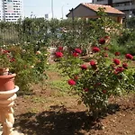 B&B Flores