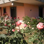 B&B Flores