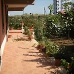 B&B Flores