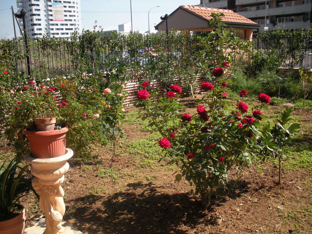 Flores