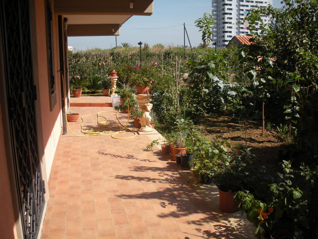 Flores Roma