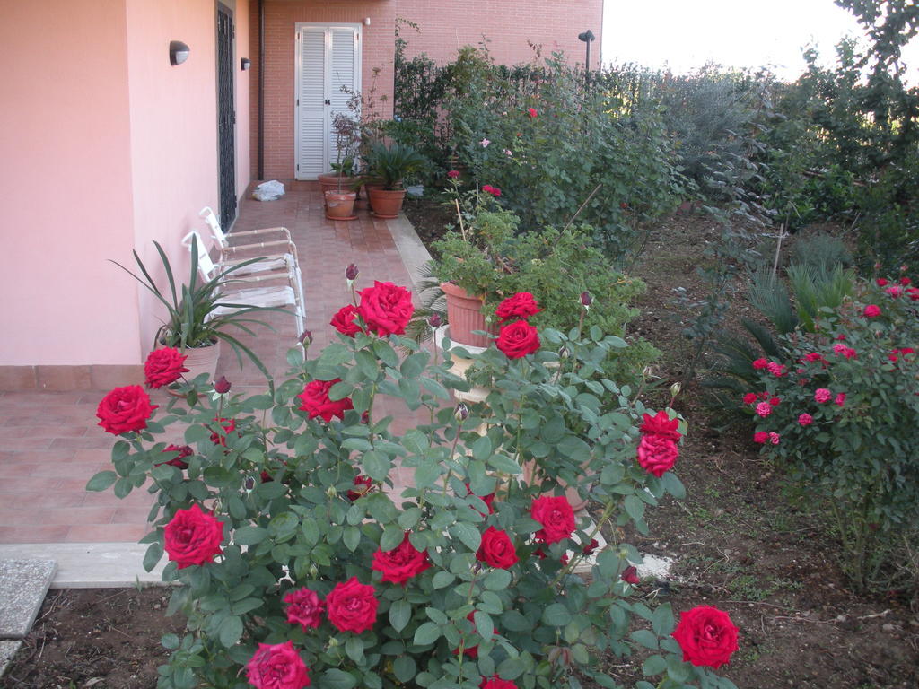 Flores