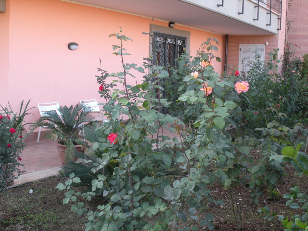 Flores Rome